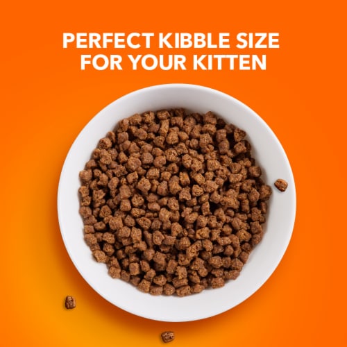 IAMS Proactive Health with Chicken Healthy Kitten Dry Cat Food Perspective: right