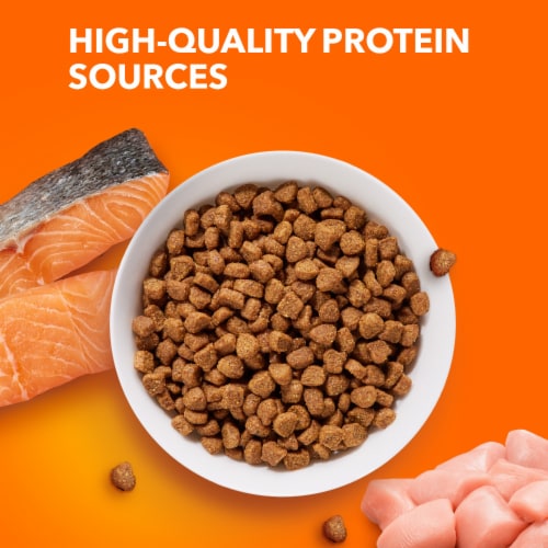 Iams Proactive Health Healthy Adult Dry Cat Food Salmon Perspective: right