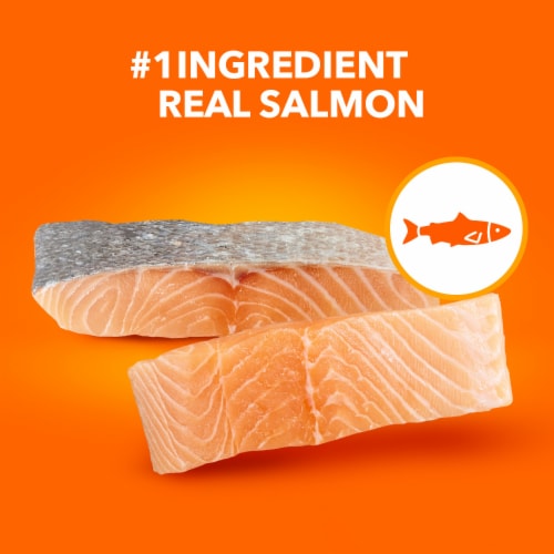 IAMS™ Proactive Health™ Salmon Adult Dry Cat Food Perspective: right