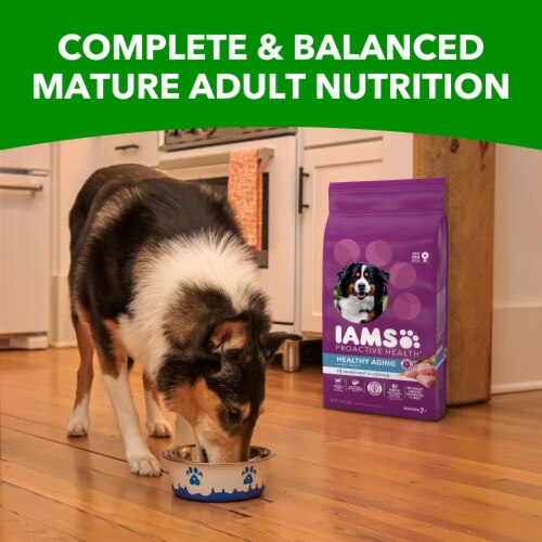 Iams Proactive Health Healthy Aging Large Breed Dry Senior Dog Food Real Chicken Flavor Perspective: right