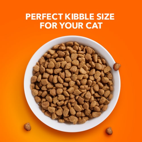 Iams Proactive Health Sensitive Digestion & Skin with Turkey Cat Kibble Adult Dry Cat Food Perspective: right
