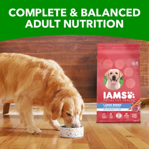 Iams Proactive Health Large Breed Adult Dry Dog Food Lamb & Rice Recipe Perspective: right