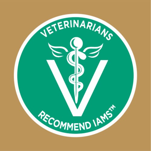 Iams Proactive Health Long Hair Care Chicken & Salmon Adult Dry Cat Food Perspective: right
