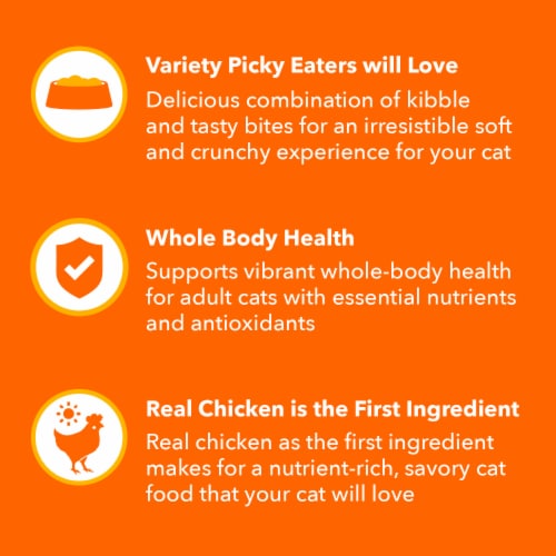 IAMS Healthy Enjoyment Chicken & Salmon Dry Cat Food Perspective: right