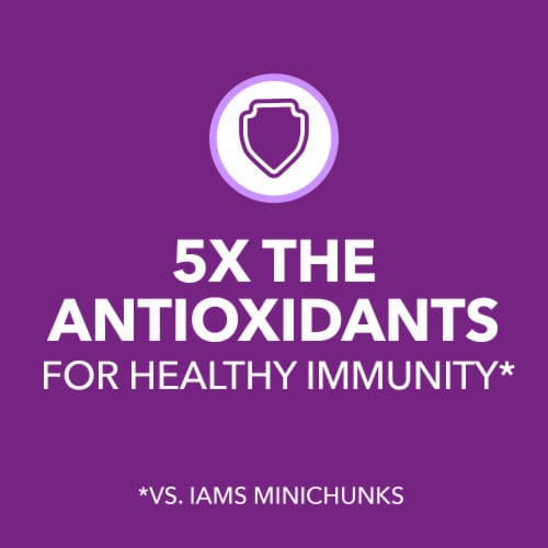 IAMS Advanced Health Immune Health Chicken & Superfoods Adult Dry Dog Food Perspective: right