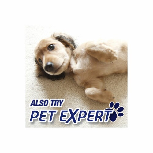 Resolve Pet Expert High Traffic Carpet Foam Cleaner, 22 oz - Kroger