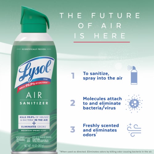Lysol® Air Sanitizer Rainwashed Bamboo Scent Perspective: right