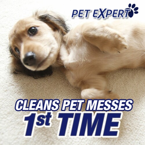 Resolve Carpet Deep Cleaner for Steam Cleaning Perspective: right