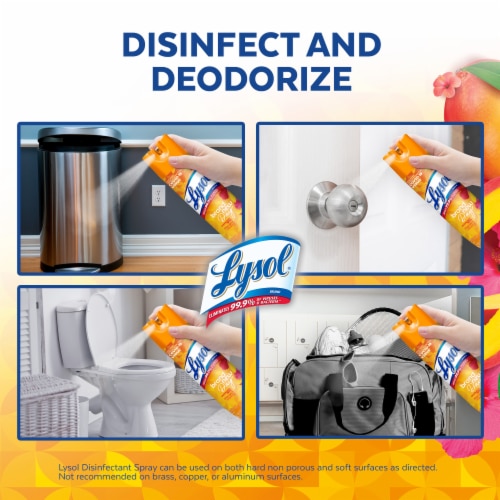 Reckitt Benckiser 1014230 19 oz Mango & Hibiscus Scent Disinfectant Spray Perspective: right