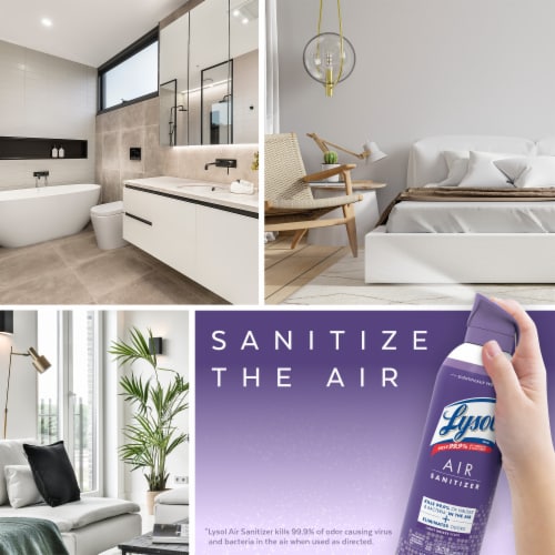 Lysol Air Sanitization and Odor Elimination Light Breeze Scent Air Sanitizing Spray Perspective: right