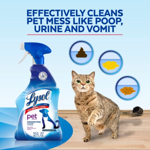 Lysol Pet Solutions All Purpose Cleaner Spray, Disinfecting Spray, Citrus Blossom Perspective: right