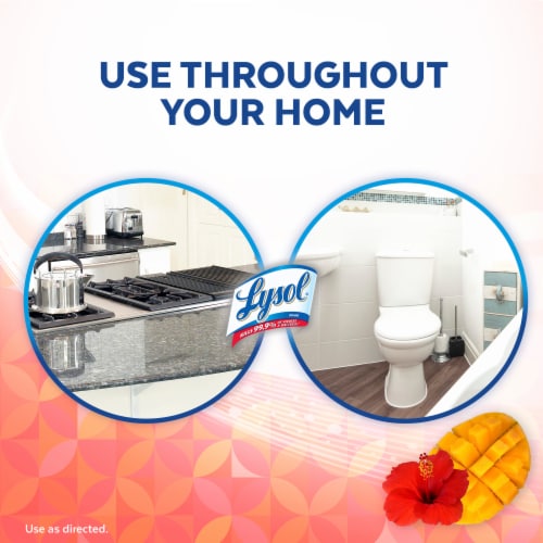 Lysol Brand New Day Bathroom Cleaning Spray Mango and Hibiscus Perspective: right