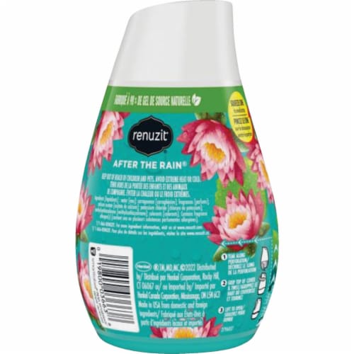 Renuzit® After The Rain® Air Freshener Perspective: right