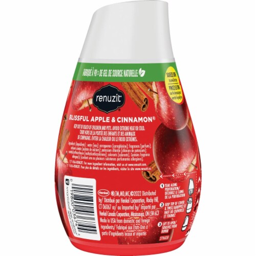 Renuzit® Apple Cinnamon Solid Air Freshener Perspective: right