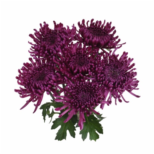 Disbud Flower Bouquet Perspective: right