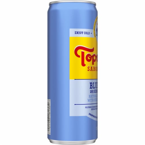 Topo Chico Sabores Blueberry Sparkling Water Can Perspective: right