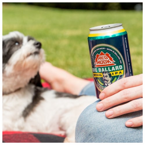 Redhook Big Ballard IPA Perspective: right