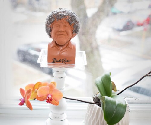 My bob Ross chia pet sprouted : r/mildlyinteresting