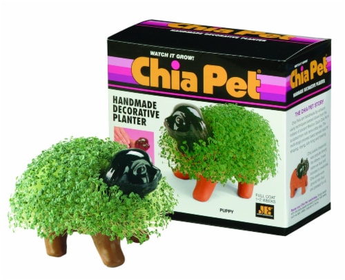 Chia Pet Handmade Decorative Planter Perspective: right