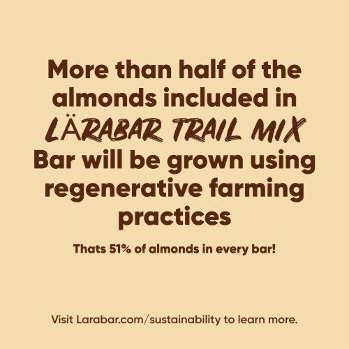 Larabar Trail Mix Bars Peanut Butter and Jelly Gluten Free Baked Nut Bar Perspective: right