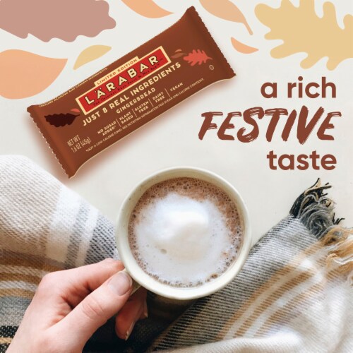 Larabar Gingerbread Fruit & Nut Bars Perspective: right