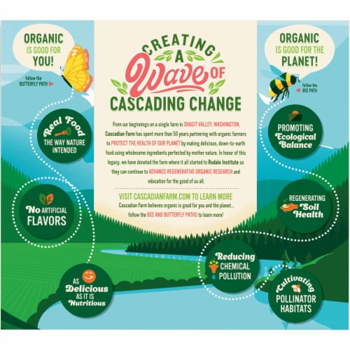 Cascadian Farm™ Organic Honey Roasted Nut Chewy Plant Protein Bars Perspective: right