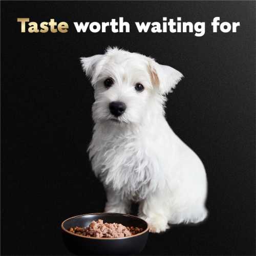 Cesar Chicken & Beef Loaf Puppy Wet Dog Food Perspective: right