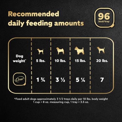Cesar Home Delights Turkey Green Beans & Potatoes Adult Soft Wet Dog Food Perspective: right