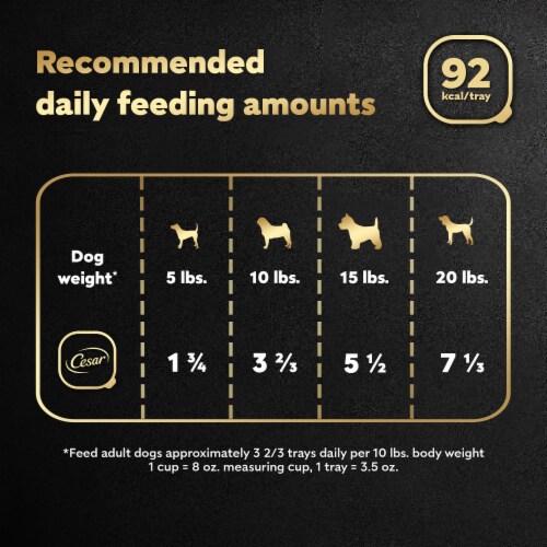 Cesar Home Delights Pot Roast with Spring Vegetables Adult Wet Dog Food Perspective: right