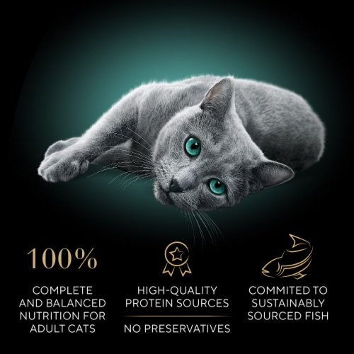 Sheba Perfect Portions Adult Wet Cat Food Cuts in Gravy Sustainable Tuna Perspective: right