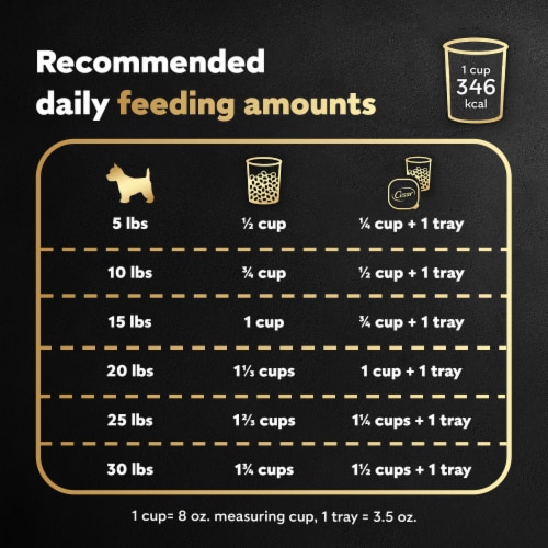 Cesar Filet Mignon & Spring Vegetables Small Breed Adult Dry Dog Food Perspective: right