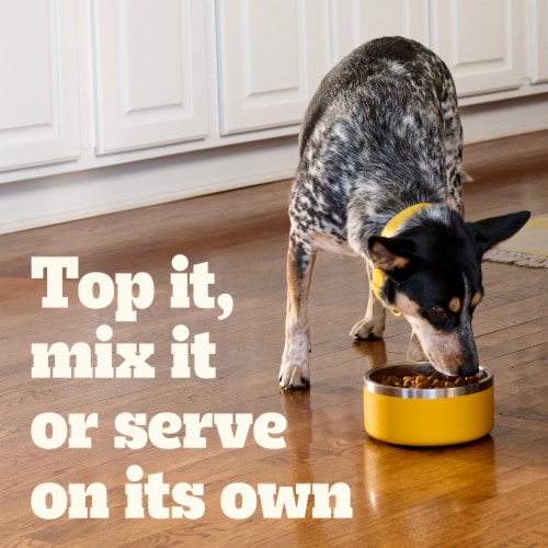 Pedigree Chopped Ground Dinner Adult Soft Wet Dog Food Beef Chicken Bacon Filet Mignon Pouch Pack Perspective: right