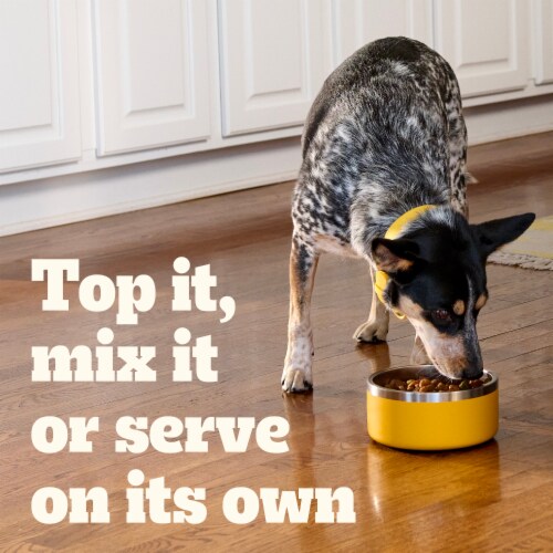 Pedigree Chopped Ground Dinner Adult Soft Wet Dog Food Pouches Chicken Beef Bacon & Cheese Perspective: right