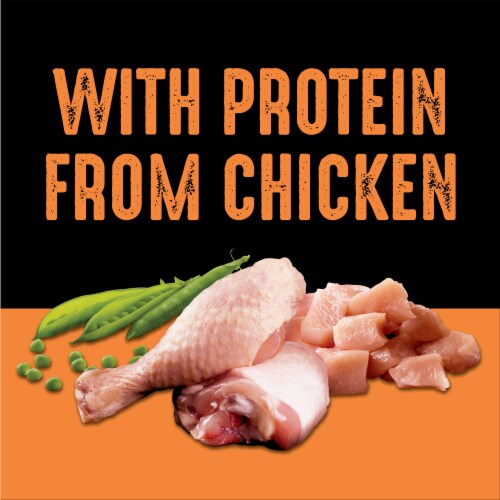 Crave Grain Free Chicken Dry Dog Food Perspective: right