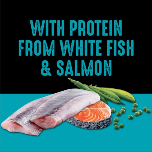 Crave Grain Free White Fish Salmon Dry Dog Food Perspective: right