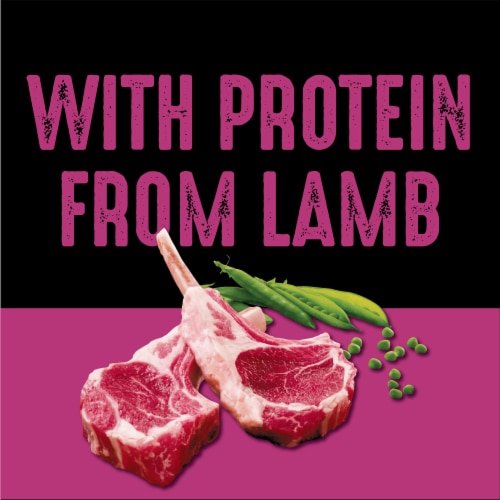 Crave Grain Free Lamb Dry Dog Food Perspective: right