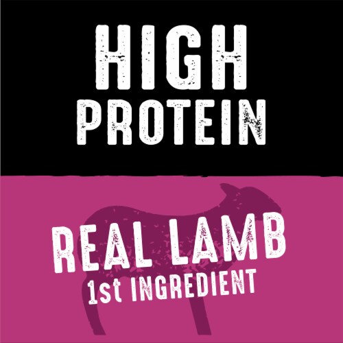 Crave Grain Free Lamb Dry Dog Food Perspective: right
