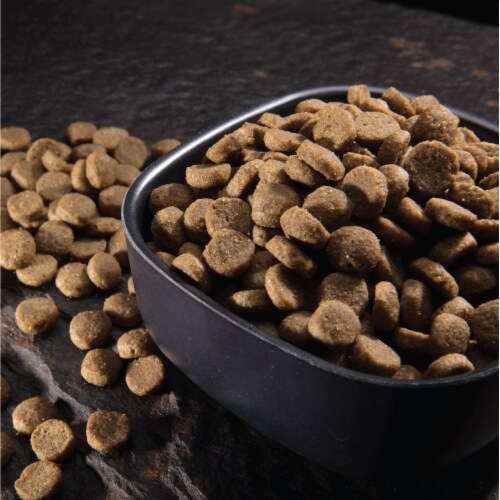 Crave Salmon & Ocean Fish Adult High Protein Grain Free Dry Cat Food Perspective: right