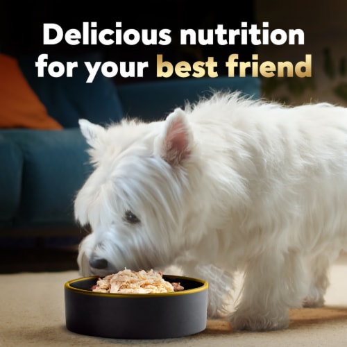 Cesar Wholesome Bowls™ Chicken Recipe Adult Soft Wet Dog Food Topper Perspective: right