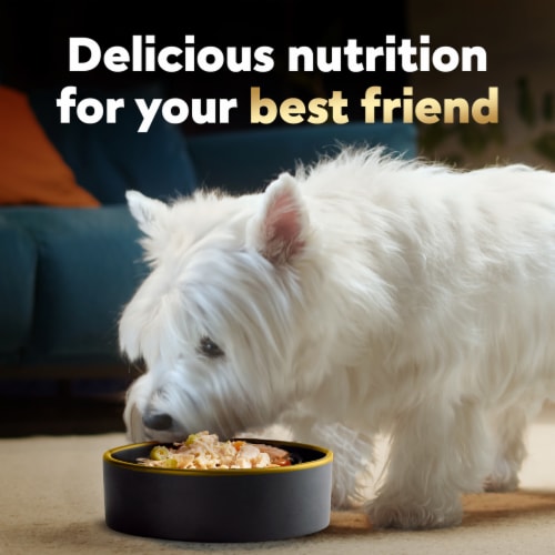 Cesar® Wholesome Bowls Chicken Sweet Potatoes & Green Beans in Broth Wet Dog Food Perspective: right