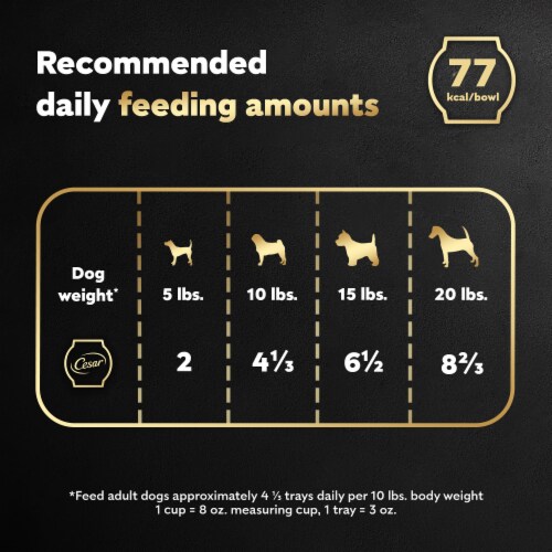 Cesar Wholesome Bowls™ Chicken Carrots Barley & Green Beans Recipe Adult Soft Wet Dog Food Topper Perspective: right