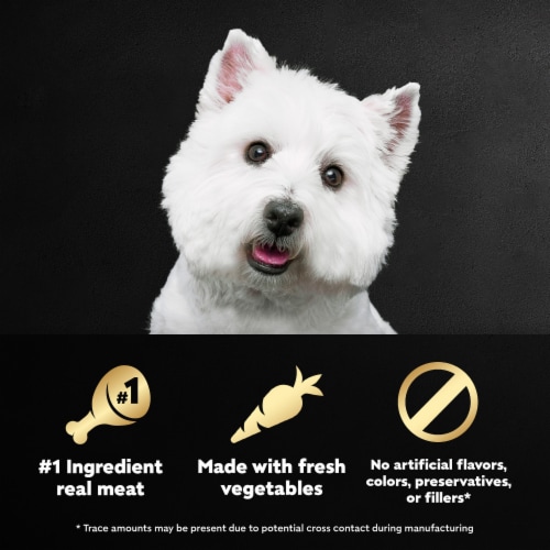 CESAR Wholesome Bowls™ Chicken Carrots Barley Green Beans & Beef Chicken Potatoes Adult Wet Dog Food Perspective: right