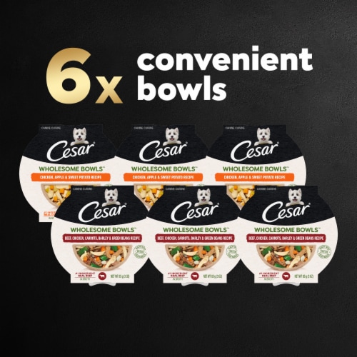 CESAR Wholesome Bowls™ Beef Chicken Green Bean & Chicken Apple Sweet Potato Adult Wet Dog Food Perspective: right