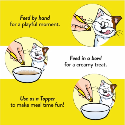 Temptations Creamy Puree Lickable Squeezable Wet Cat Treat Chicken Perspective: right