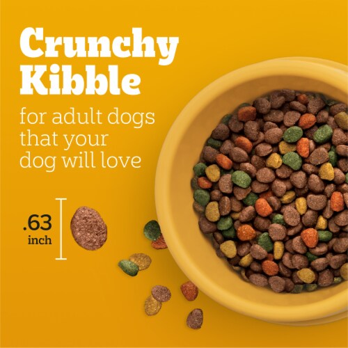 Pedigree Complete Nutrition Adult Dry Dog Food Roasted Chicken & Vegetable Flavor Perspective: right