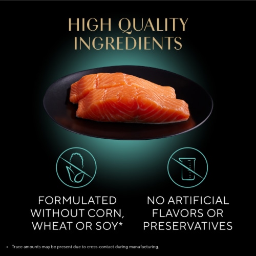 Sheba Perfect Portions Pate Salmon Soft Wet Kitten Food Perspective: right