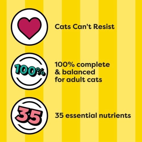 Temptations Complete Nutrition Tasty Chicken Flavor Adult Dry Cat Food Perspective: right