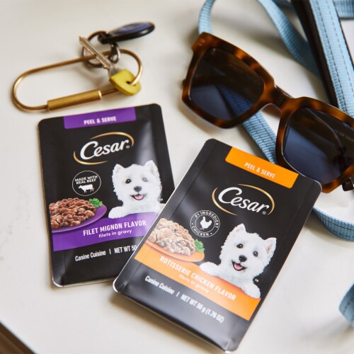 Cesar Filets in Gravy Wet Dog Food Mini-Pouch Filet Mignon Perspective: right