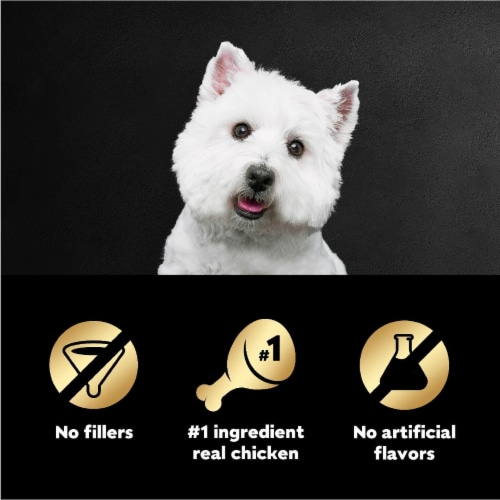 Cesar Filets in Gravy Wet Dog Food Mini-Pouch Wood-Grilled Chicken Perspective: right