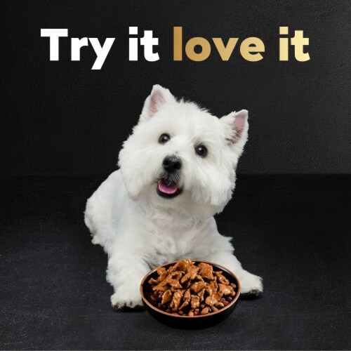 Cesar Filets in Gravy Filet Mignon and Rotisserie Chicken Wet Dog Food Variety Pack Mini-Pouches Perspective: right